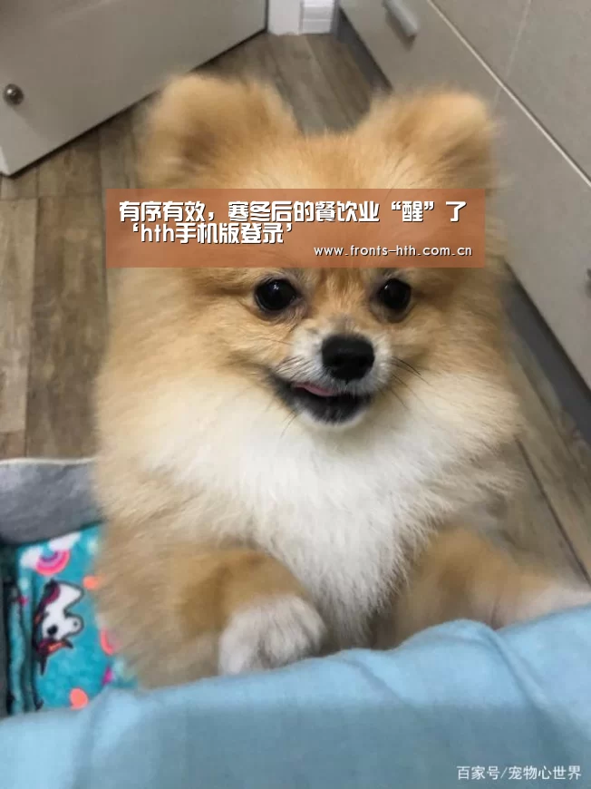 hth网页版