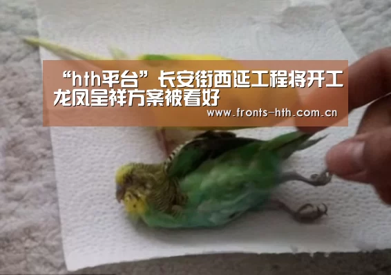 “hth平台”长安街西延工程将开工龙凤呈祥方案被看好(图2) hth官方网站